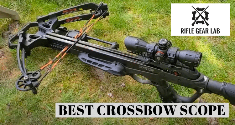 Cover photo of Best Crossbow Scope showing a scope mounted on a crossbow in an outdoor setting