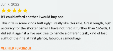 image showing a 5 star review of springfield 308