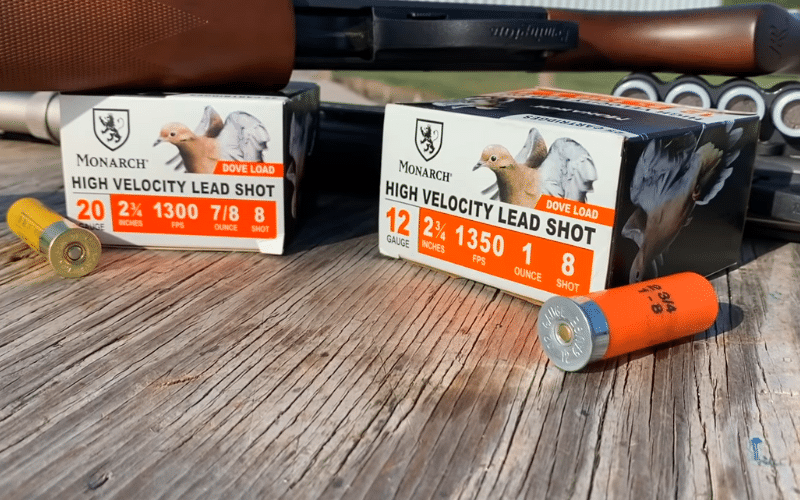 a box of 12 gauge and 20 gauge shells