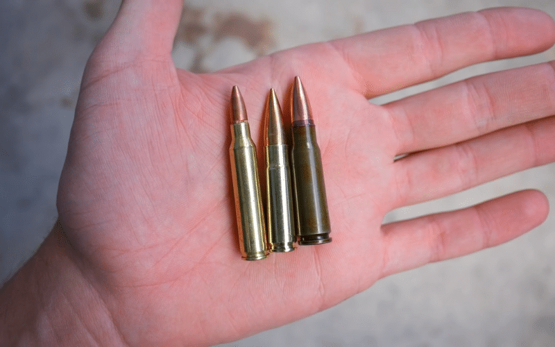 Three different bullets lined up in a palm