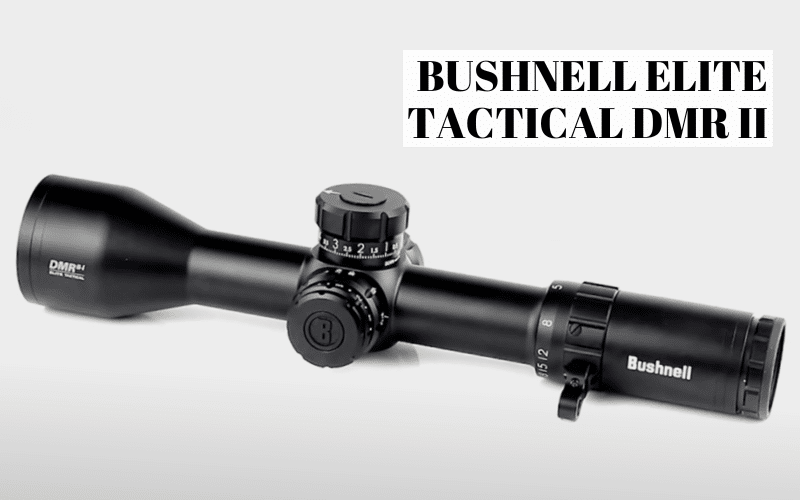 Bushnell scope for medium and long range shooting