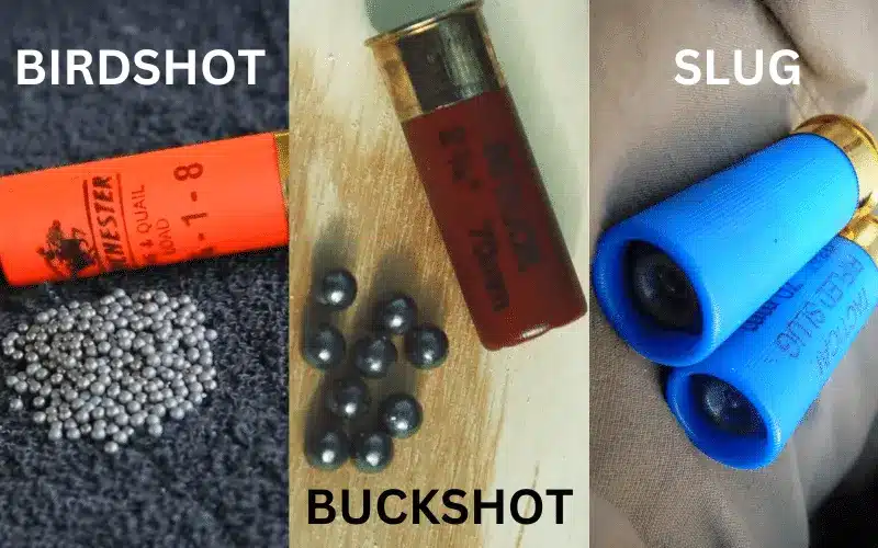 comparison of birdshot vs buckshot vs shotgun slugs