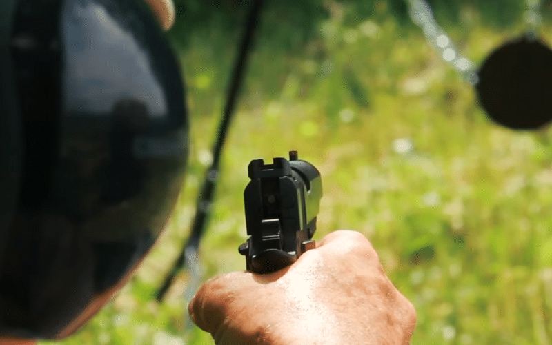 Types of Gun Sights The Most Common & Right One For You