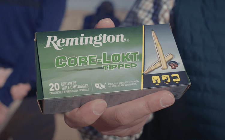 Hand holding a box of 260 grain Remington Core-Lokt pointed soft point bullet rounds