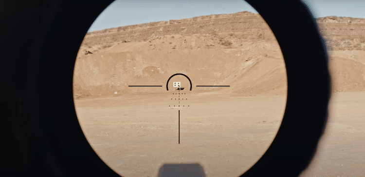 Target view seen through the lens of an LPVO