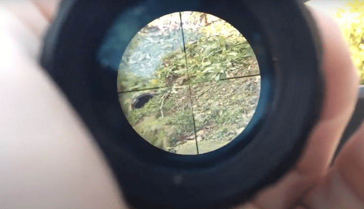 Reticle and lens of a scope