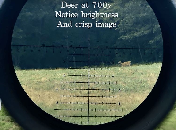 Lens view of the Leupold Mark 5HD showing the deer target in a grassy area