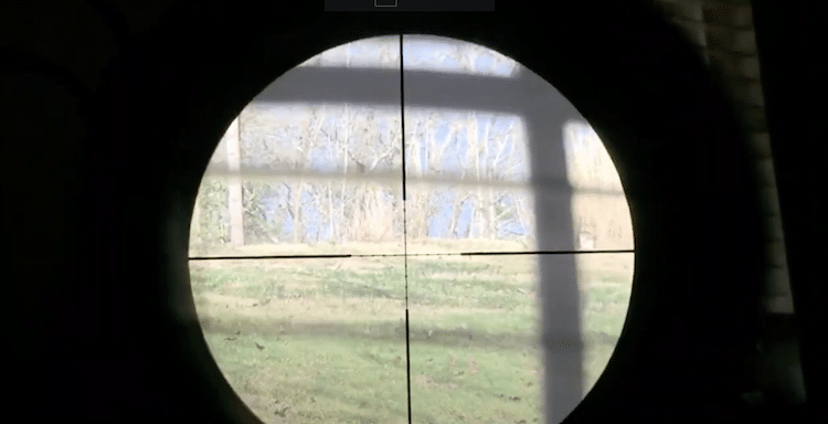 Forest view seen through the lens of the Hawke Vantage IR