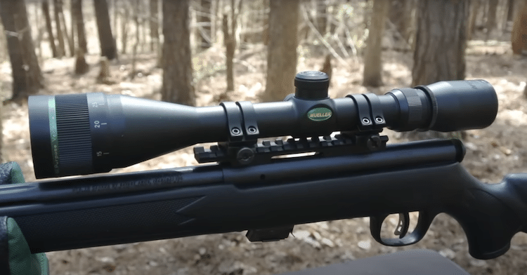 Scope mounted on a rifle and a forest background
