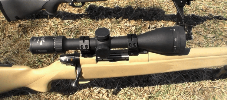 Burris Droptine on a rifle